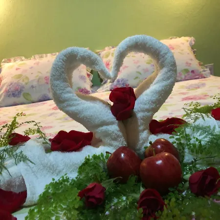 Pousada Donna Rose-3
